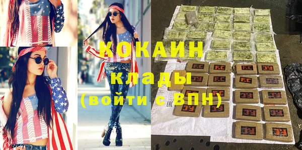 амф Дмитриев