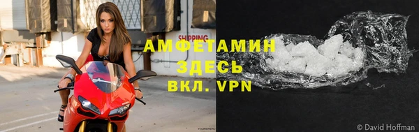 амф Дмитриев