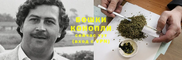 каннабис Дмитров