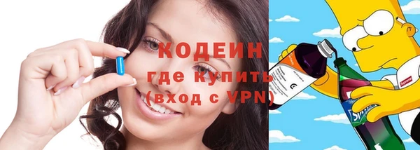 амф Дмитриев