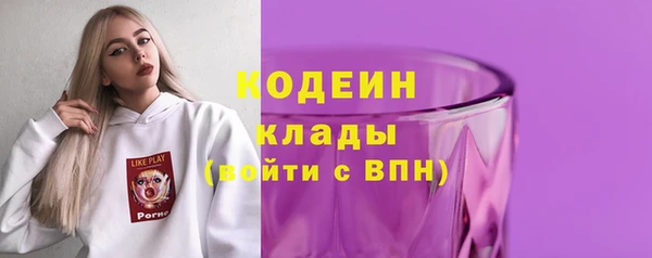 амф Дмитриев