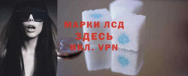 гидра Дмитровск