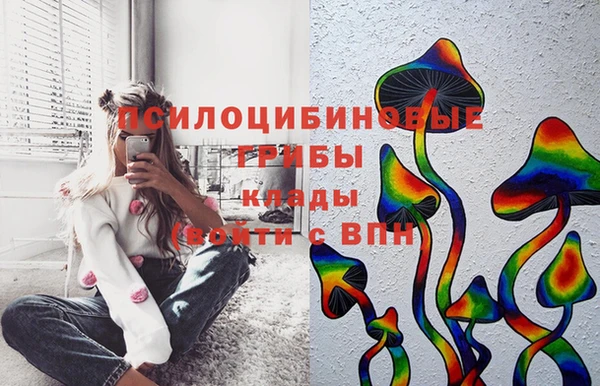 амф Дмитриев
