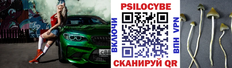 Купить закладки  Шали  Галлюциногенные грибы Cubensis 