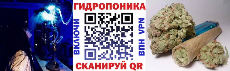 Бошки Шишки AK-47  Купить где  Шали 